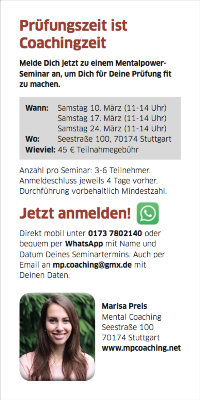 mp_Flyer_S.2_Screenshot